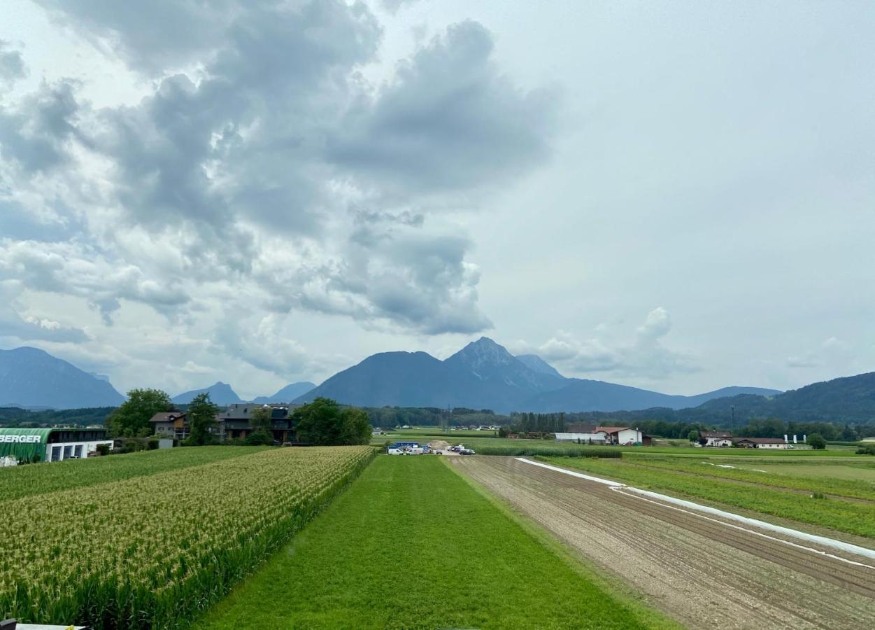 Apartament Wohnen Mit Bergausblick Wals-Siezenheim Zewnętrze zdjęcie